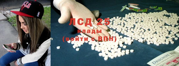 ГАЛЛЮЦИНОГЕННЫЕ ГРИБЫ Алексин
