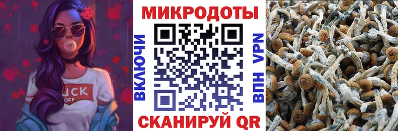 Псилоцибиновые грибы Magic Shrooms Ивдель