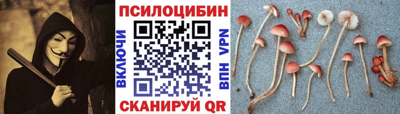 ссылка на мегу как зайти  купить наркотик  мориарти Telegram  Галлюциногенные грибы MAGIC MUSHROOMS  Ивдель 